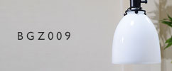 BGZ009