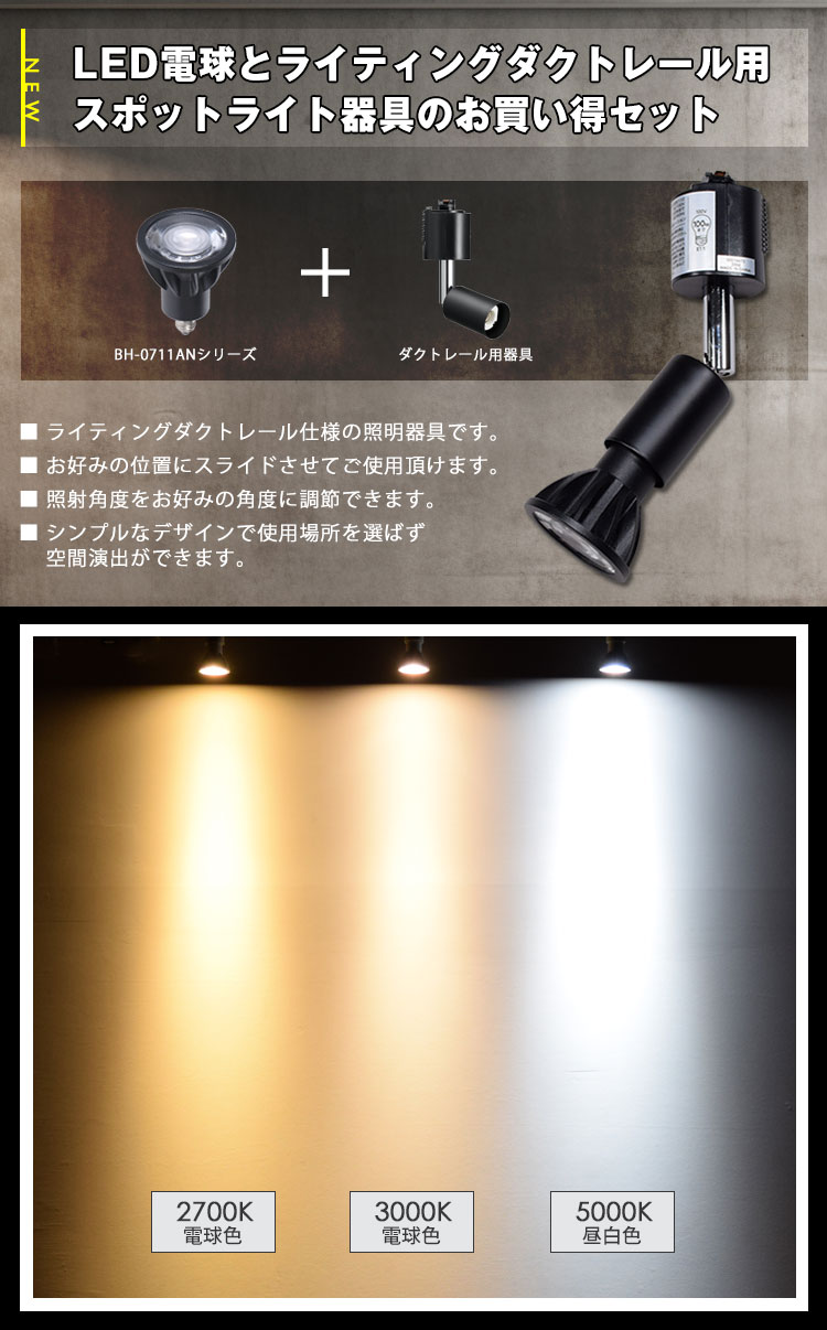 LED電球とライティングダクトレール用スポットライト器具のお買い得セット
