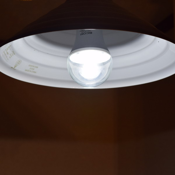 BeeLIGHTのLED電球「BD-0726-IP65-Clear-WW」の商品画像。実際の点灯イメージ。
