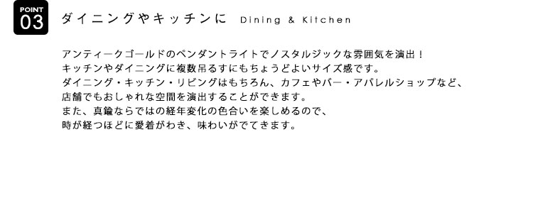 Pendant Light ペンダントライト BCA082