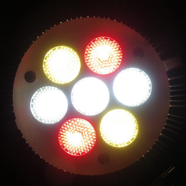 BeeLIGHTのLED電球「BH-0826H2-45」の特徴的な3色のLED電球面、点灯写真。